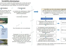 La plasticité phénotypique