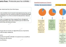 Protocole