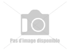 Tropheus sp.lunatus Lemon Chin